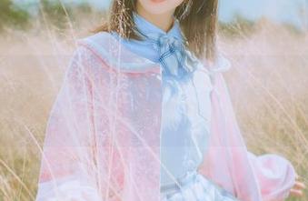 请给我一个按钮，让我反复欣赏面饼仙儿的血小板lolita，焦困于资源的喜悦之中